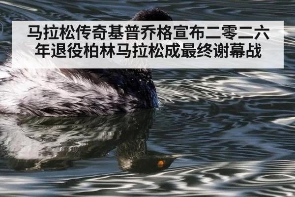 马拉松传奇基普乔格宣布二零二六年退役柏林马拉松成最终谢幕战