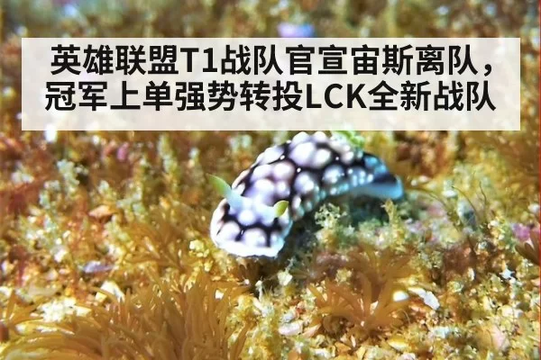 英雄联盟T1战队官宣宙斯离队，冠军上单强势转投LCK全新战队